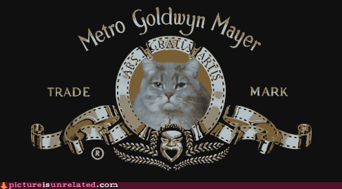Metro-Goldwyn-Mayer Inc miaou chat cat