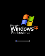 Windows XP barre chargement gif animé professional edition