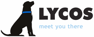 moteur de recherche Lycos meet you there