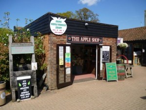 the apple shop