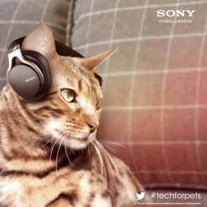 Sony Animalia Des écouteurs audio pour chats
