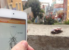 Une application pour prendre le contrôle mental d&rsquo;un insecte